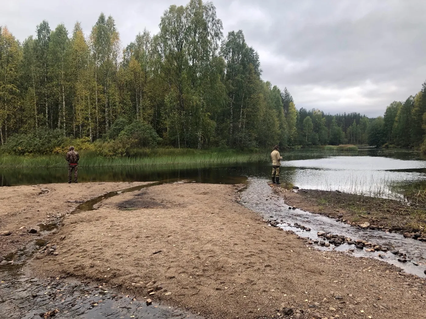 Песчаная коса на карельской реке