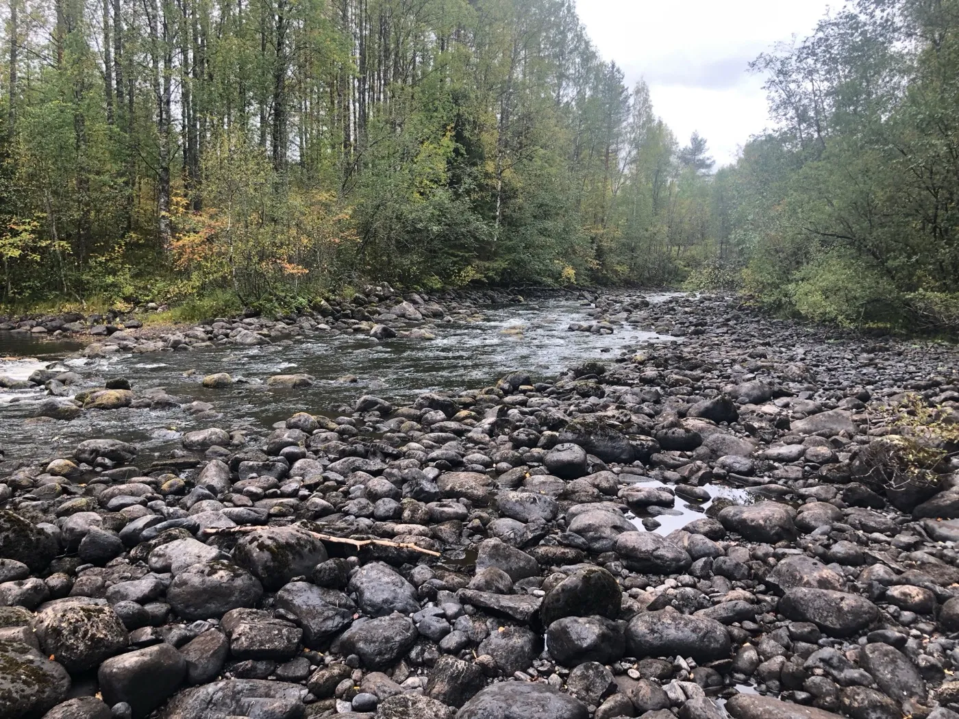 Каменистое русло реки в Карелии